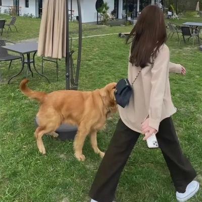 吃吧，让爱重来